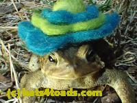 /home//u458753944/public_html/sourcegallery///////////////////////Roxborough Toad Detour/2013-2019/2017/P3010561.JPG